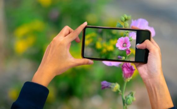 Taking a photo of a flower outside